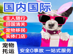 盐城南洋航空货运国际宠物托运 【国